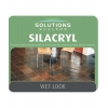 Solutions Sealers Silacryl Wet Look Acrylic Coatings 1litre